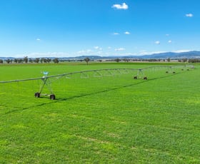 Rural / Farming commercial property for sale at 322 Balcarry Lane Tamworth NSW 2340