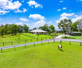 Rural / Farming commercial property sold at 8115 Mount Lindesay Highway Josephville QLD 4285