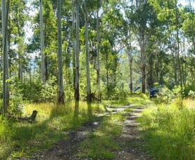 Rural / Farming commercial property for sale at 146 Mills Road Bean Creek NSW 2469