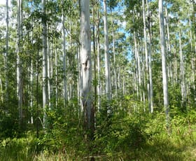 Rural / Farming commercial property for sale at 146 Mills Road Bean Creek NSW 2469