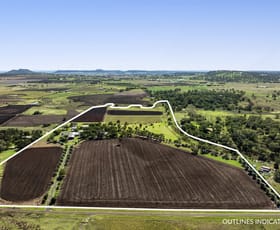 Rural / Farming commercial property for sale at 264 E Drews Road Westbrook QLD 4350