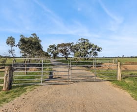 Rural / Farming commercial property for sale at 85 Brown Road Teal Point VIC 3579