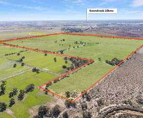 Rural / Farming commercial property for sale at 85 Brown Road Teal Point VIC 3579
