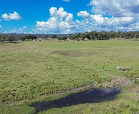 Rural / Farming commercial property for sale at 15962 Cunningham Highway Greymare QLD 4370