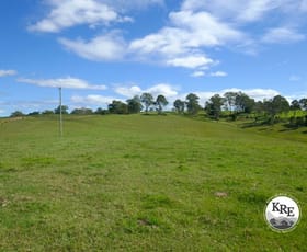 Rural / Farming commercial property for sale at 621 Old Dyraaba Road Casino NSW 2470