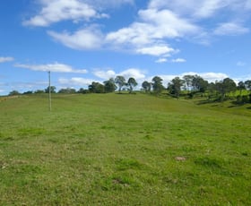 Rural / Farming commercial property for sale at 621 Old Dyraaba Road Casino NSW 2470