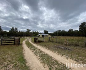 Rural / Farming commercial property for sale at 445 Old Stannifer Road Gilgai NSW 2360