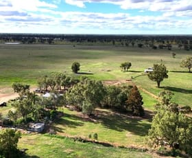 Rural / Farming commercial property for sale at "Old Wilbermer" Gular Rail Road Gulargambone NSW 2828