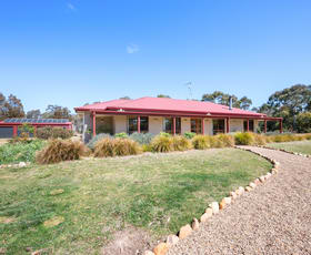 Rural / Farming commercial property for sale at 385 Foxs Elbow Road Warri NSW 2622