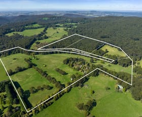 Rural / Farming commercial property for sale at 131 Shannons Lane Kerrie VIC 3434