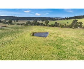 Rural / Farming commercial property for sale at 665 Nicholson-Sarsfield Road Sarsfield VIC 3875