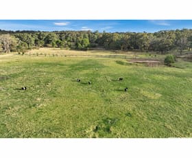 Rural / Farming commercial property for sale at 665 Nicholson-Sarsfield Road Sarsfield VIC 3875