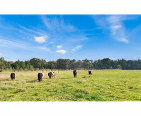 Rural / Farming commercial property for sale at 665 Nicholson-Sarsfield Road Sarsfield VIC 3875