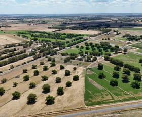 Rural / Farming commercial property sold at 369 Leitchville-Pyramid Road Leitchville VIC 3567