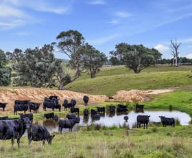 Rural / Farming commercial property for sale at 127 Balgonie Lane Perry Bridge VIC 3862