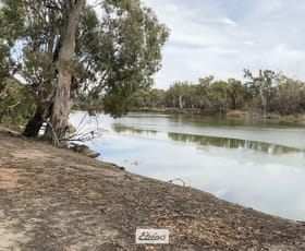 Rural / Farming commercial property for sale at 733A Cal Lal Road Wentworth NSW 2648