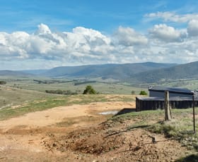 Rural / Farming commercial property for sale at 135 Leonard Drive Omeo VIC 3898