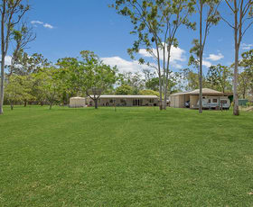 Rural / Farming commercial property for sale at 97 Tableland Road Calliope QLD 4680