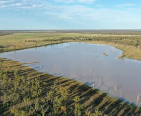 Rural / Farming commercial property for sale at 3124 Begonia Road St George QLD 4487