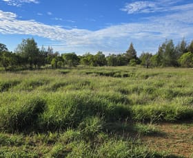 Rural / Farming commercial property for sale at 3124 Begonia Road St George QLD 4487