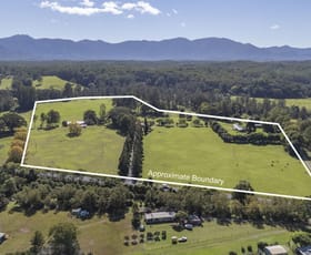 Rural / Farming commercial property for sale at 1596 Waterfall Way Bellingen NSW 2454