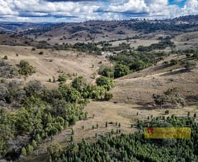 Rural / Farming commercial property for sale at 782 Yarrabin Road Mudgee NSW 2850