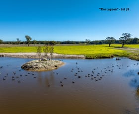 Rural / Farming commercial property for sale at 154 Scabben Flat Road Taralga NSW 2580