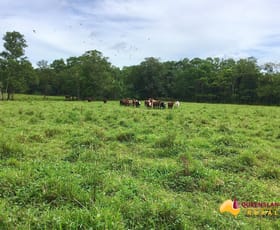 Rural / Farming commercial property for sale at South Innisfail QLD 4860