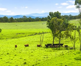 Rural / Farming commercial property for sale at 474 Three Chain Road Newry VIC 3859