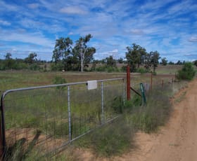Rural / Farming commercial property for sale at 293 Highfield Lane Narrabri NSW 2390