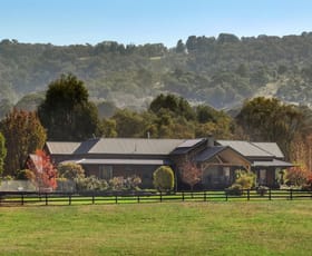 Rural / Farming commercial property for sale at 434 Buttercup Road Merrijig VIC 3723