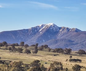 Rural / Farming commercial property for sale at 434 Buttercup Road Merrijig VIC 3723
