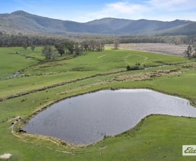 Rural / Farming commercial property for sale at Lot 2, 100 Raglan-Elmhurst Road Raglan VIC 3373