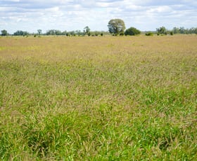 Rural / Farming commercial property for sale at Marionvale, Surat Yuleba Road Surat QLD 4417