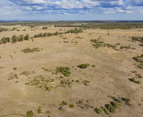 Rural / Farming commercial property for sale at 1017 Wilga Ridge Road Fifield NSW 2875