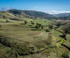 Rural / Farming commercial property for sale at 'Coonara' Perrams Road Ilford NSW 2850