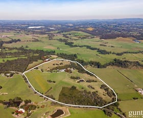 Rural / Farming commercial property for sale at 770 Healesville Koo Wee Rup Road Healesville VIC 3777