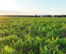 Rural / Farming commercial property for sale at 214 Drillham South Road Drillham QLD 4424