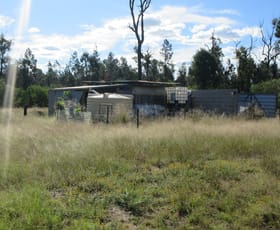 Rural / Farming commercial property for sale at Tara QLD 4421