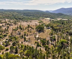 Rural / Farming commercial property for sale at 1603 Foggs Crosing Road Reids Flat NSW 2586