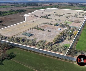 Rural / Farming commercial property for sale at 3964 Midland Highway Stanhope VIC 3623