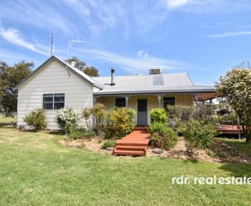 Rural / Farming commercial property for sale at 164 Yammacoona Estate Road Delungra NSW 2403