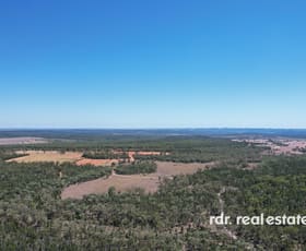 Rural / Farming commercial property for sale at 526 Bedwell Downs Rd Ashford NSW 2361