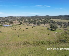 Rural / Farming commercial property for sale at 1305 Bingara Road Bundarra NSW 2359