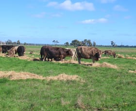Rural / Farming commercial property for sale at 28 Mann Road Nillup WA 6288