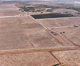 Rural / Farming commercial property for sale at 401 Hogan Road Whitton NSW 2705