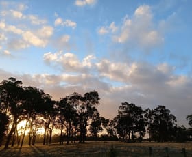 Rural / Farming commercial property for sale at 252 Jamieson Road Capel WA 6271