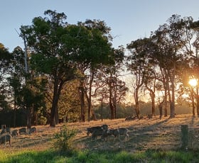 Rural / Farming commercial property for sale at 252 Jamieson Road Capel WA 6271