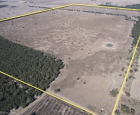 Rural / Farming commercial property for sale at 830 Waarbilla Road Barmedman NSW 2668