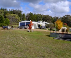 Rural / Farming commercial property for sale at Emmaville NSW 2371